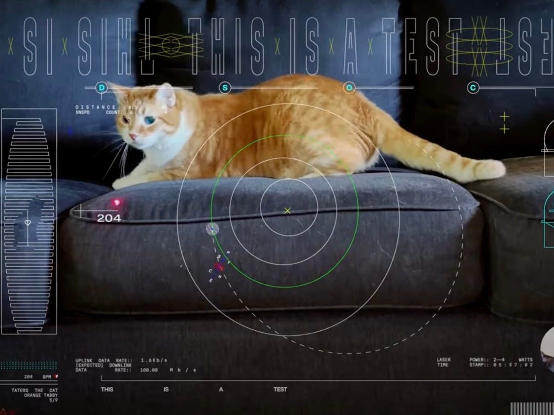 Nasa Achieves Milestone: Streams HD Video of an Earthbound Cat from Deep Space